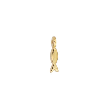 Little Gold Fish Charm