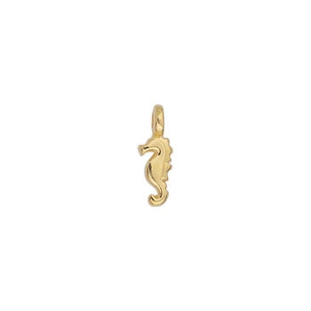 Little Seahorse Charm