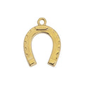Horseshoe Lucky Charm