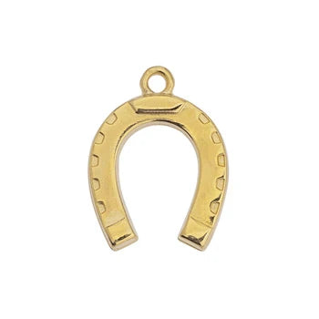 Horseshoe Lucky Charm