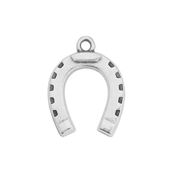 Horseshoe Lucky Charm