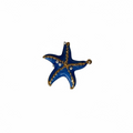 Blue Star Fish Charm